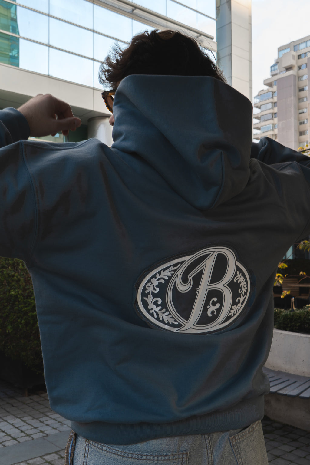 Hoodie grey big logo 3D - Bo world edition