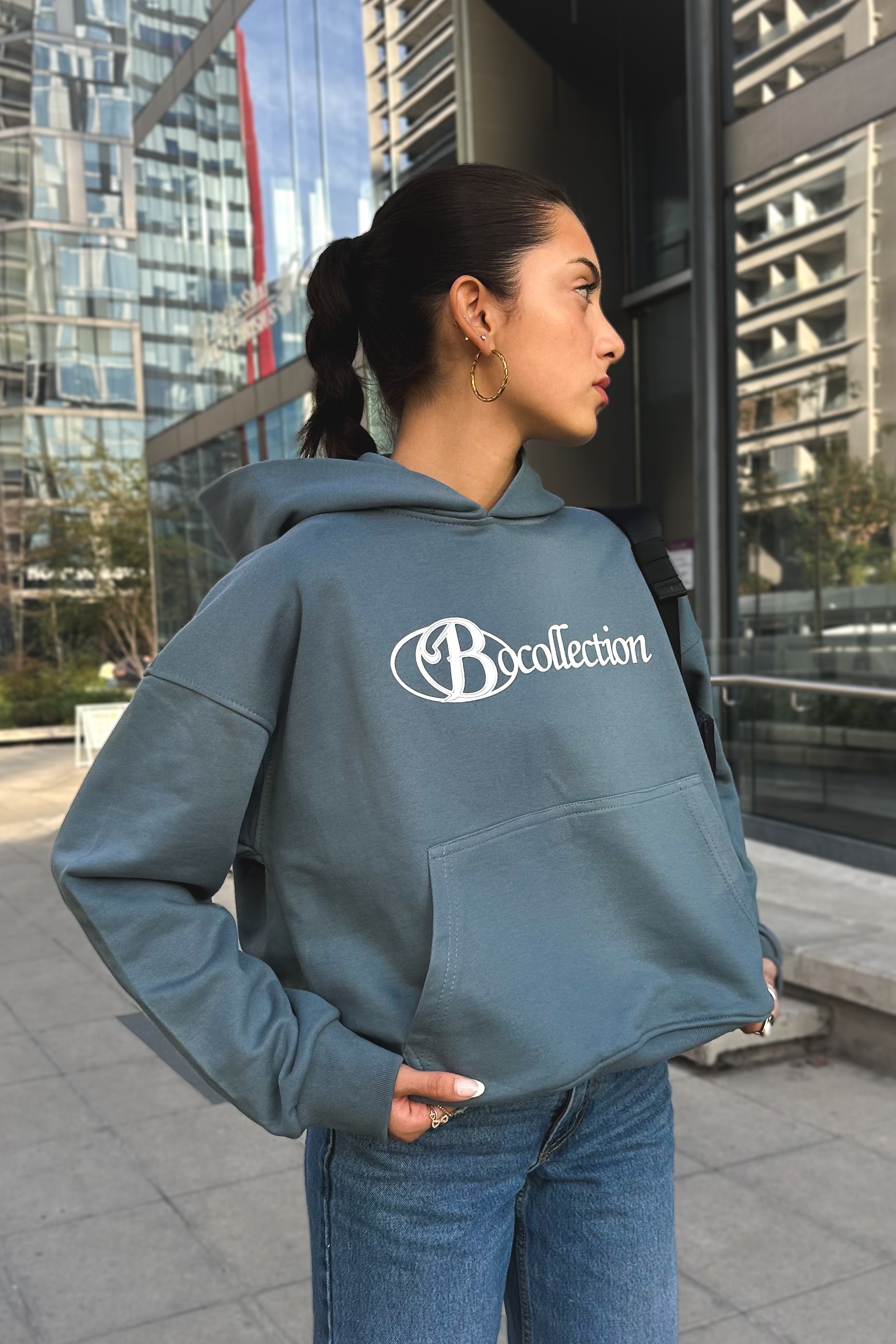Hoodie grey big logo 3D