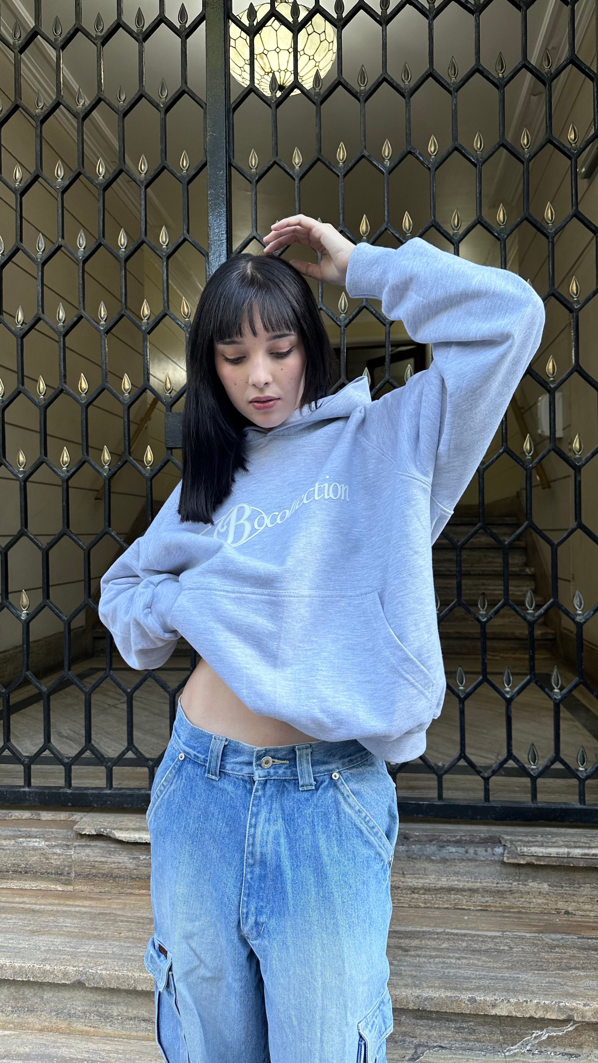 Hoodie soft grey big logo 3D