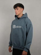 Hoodie grey big logo 3D