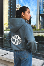 Hoodie grey big logo 3D