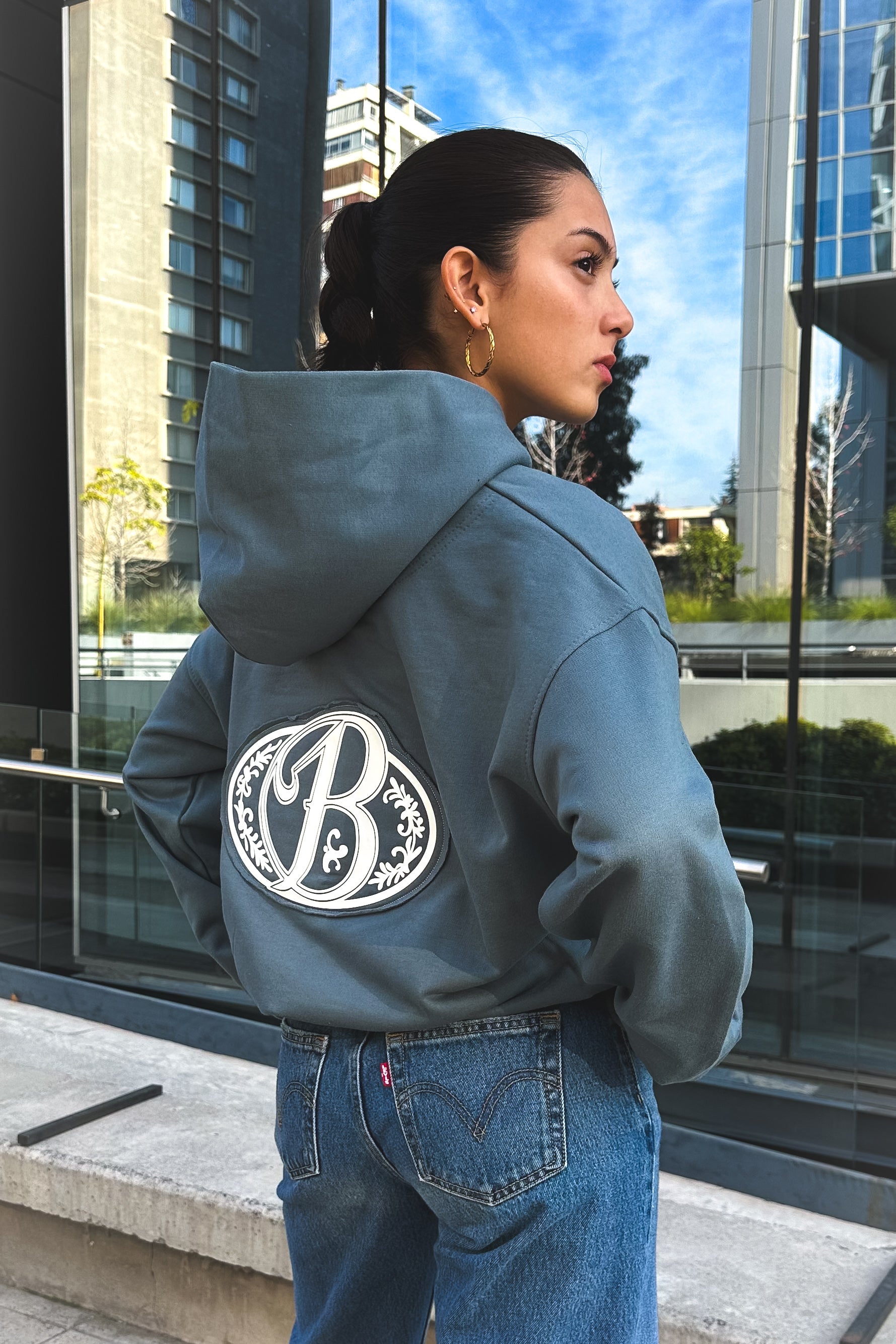 Hoodie grey big logo 3D