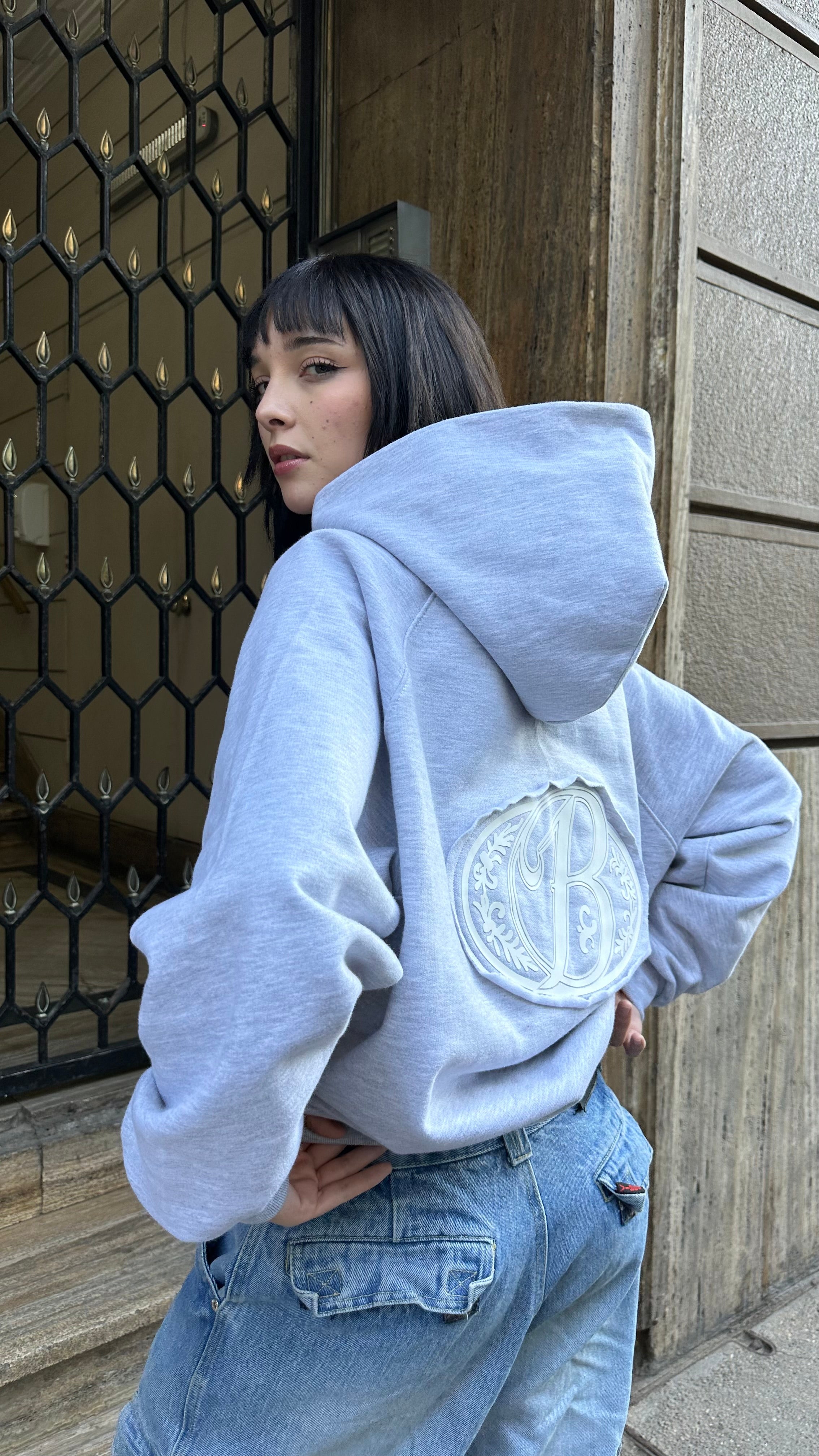 Hoodie soft grey big logo 3D