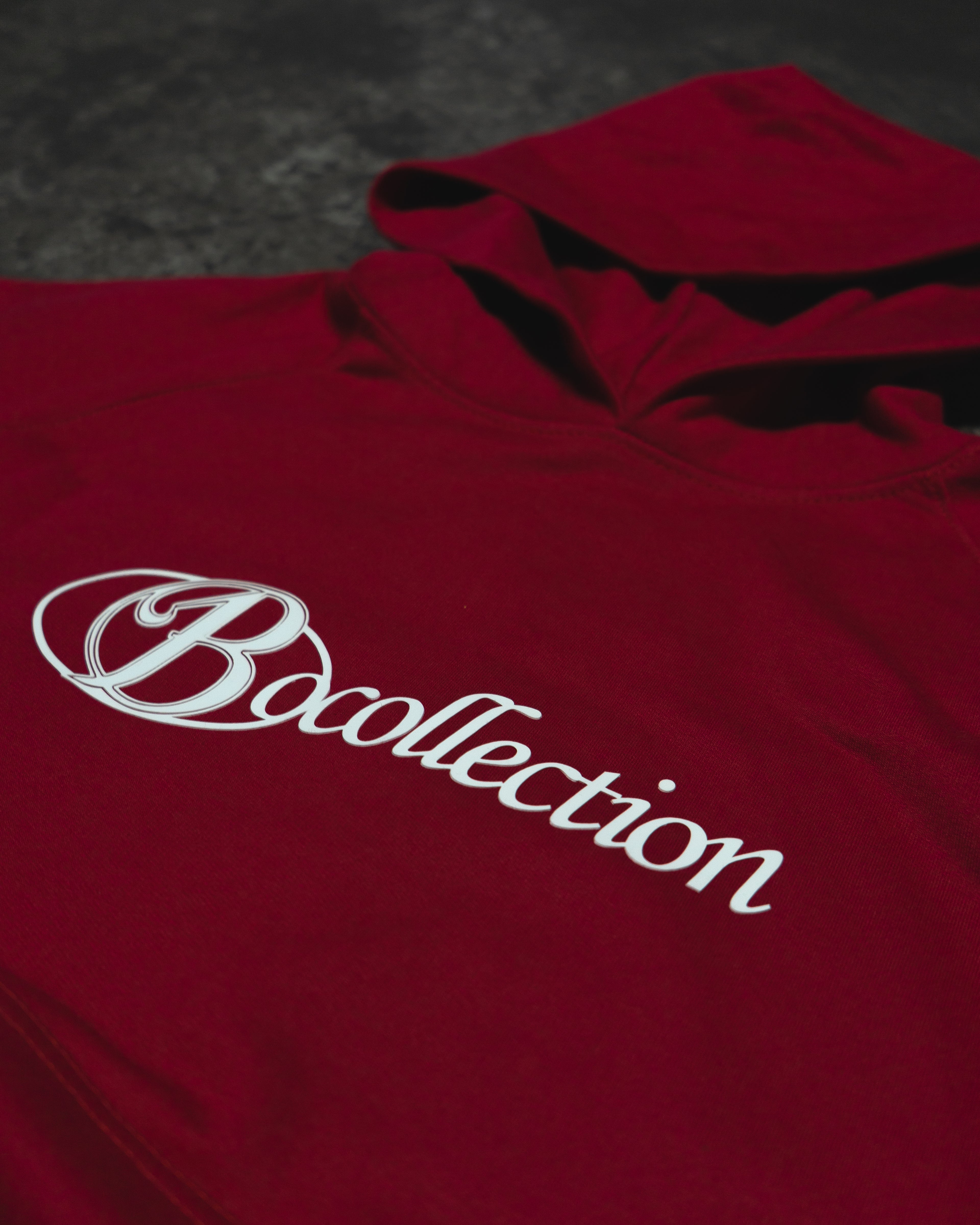 Hoodie red big logo 3D