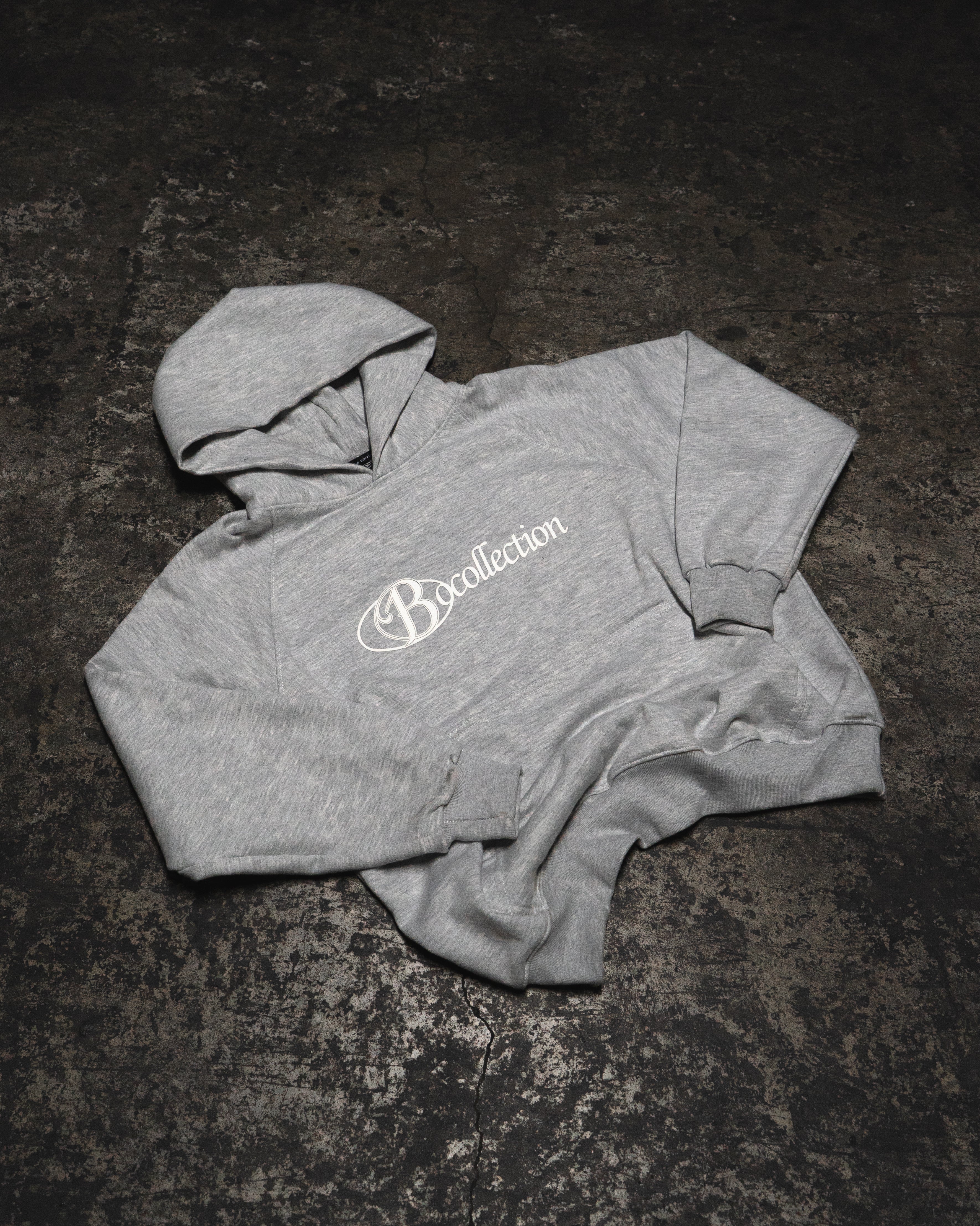 Hoodie soft grey big logo 3D