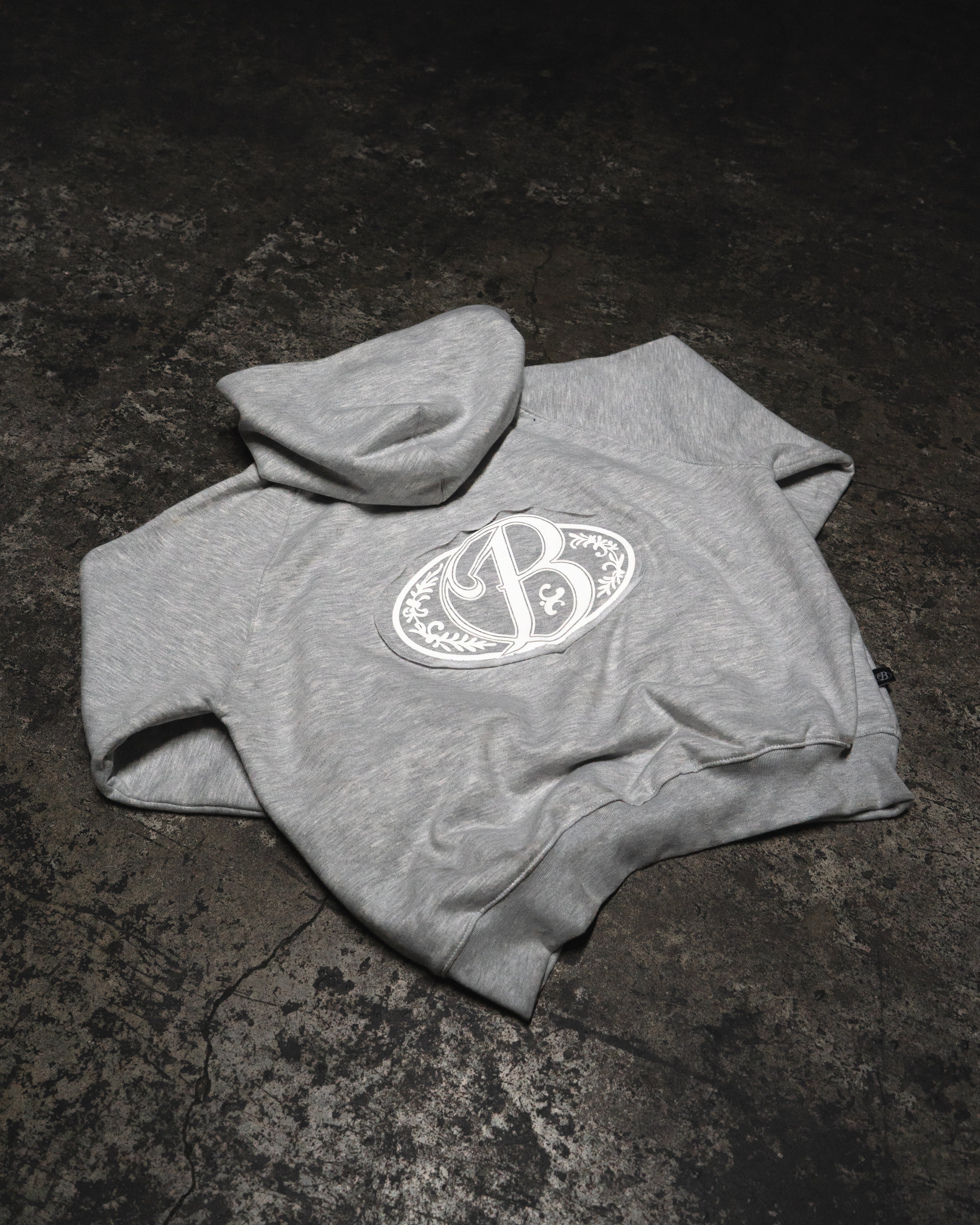 Hoodie soft grey big logo 3D