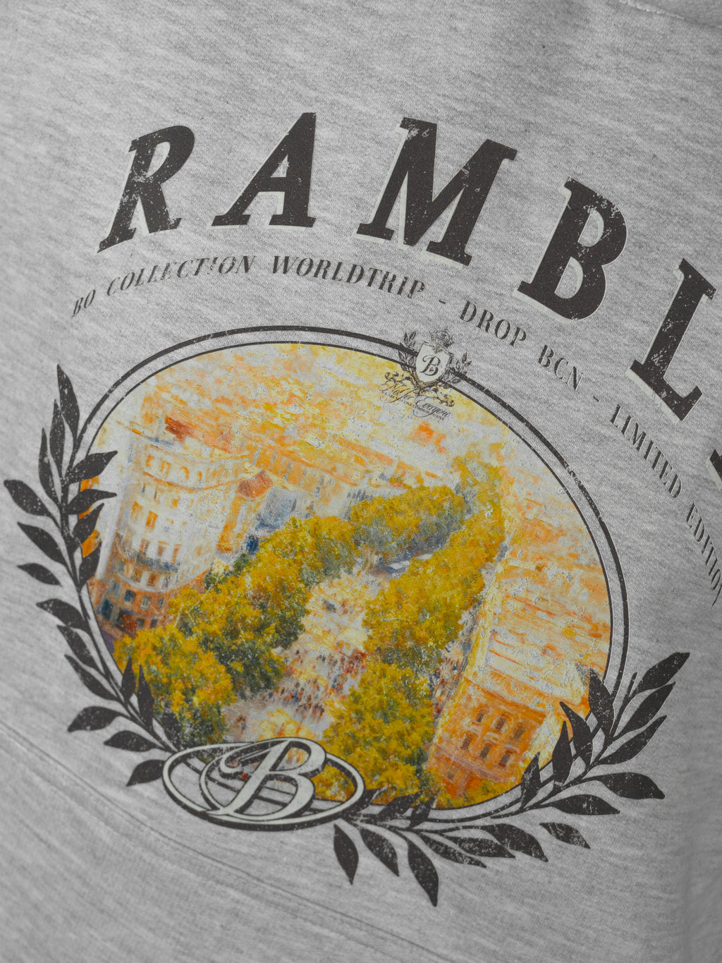 Hoodie Rambla gris