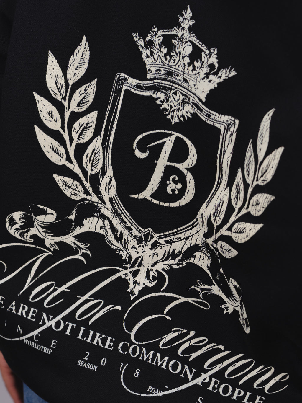 PREVENTA - Hoodie Escudo Bo worldtrip