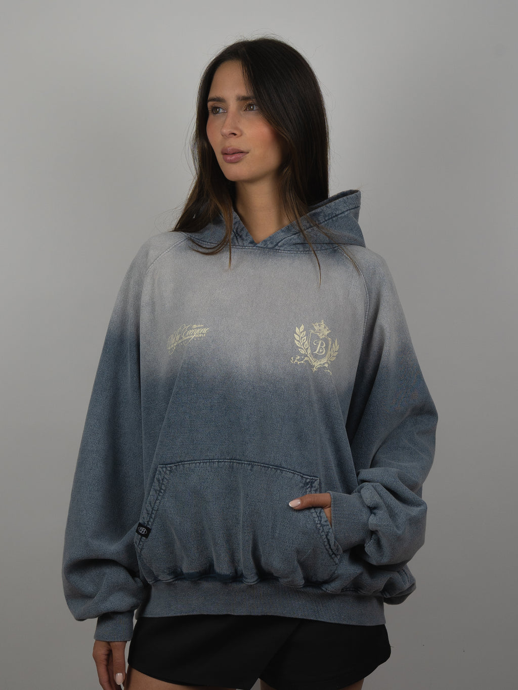 PREVENTA - Hoodie Escudo Bo acid