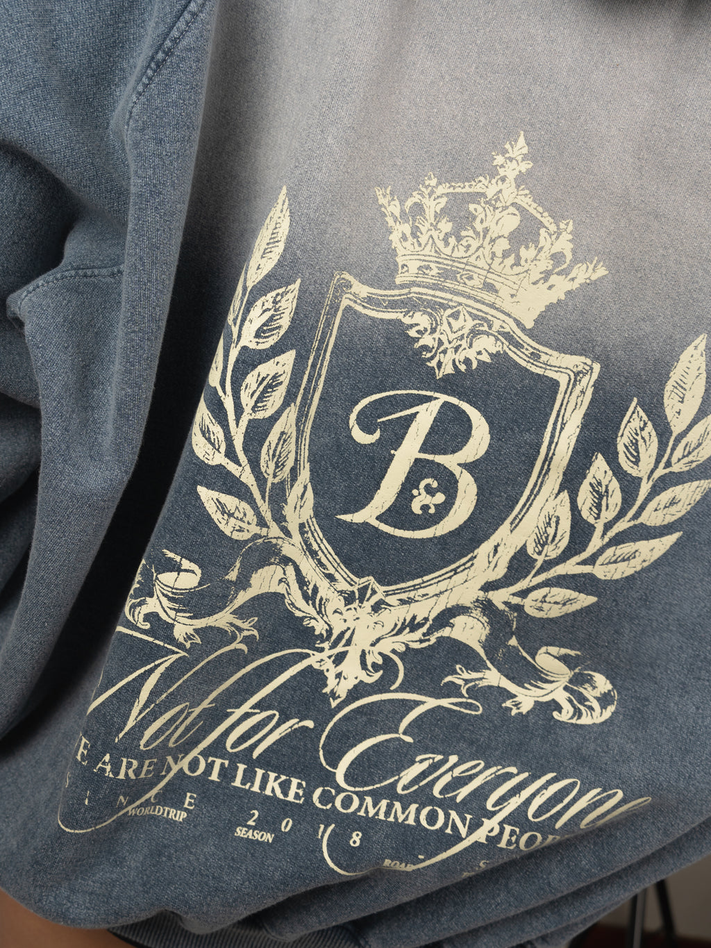 PREVENTA - Hoodie Escudo Bo acid