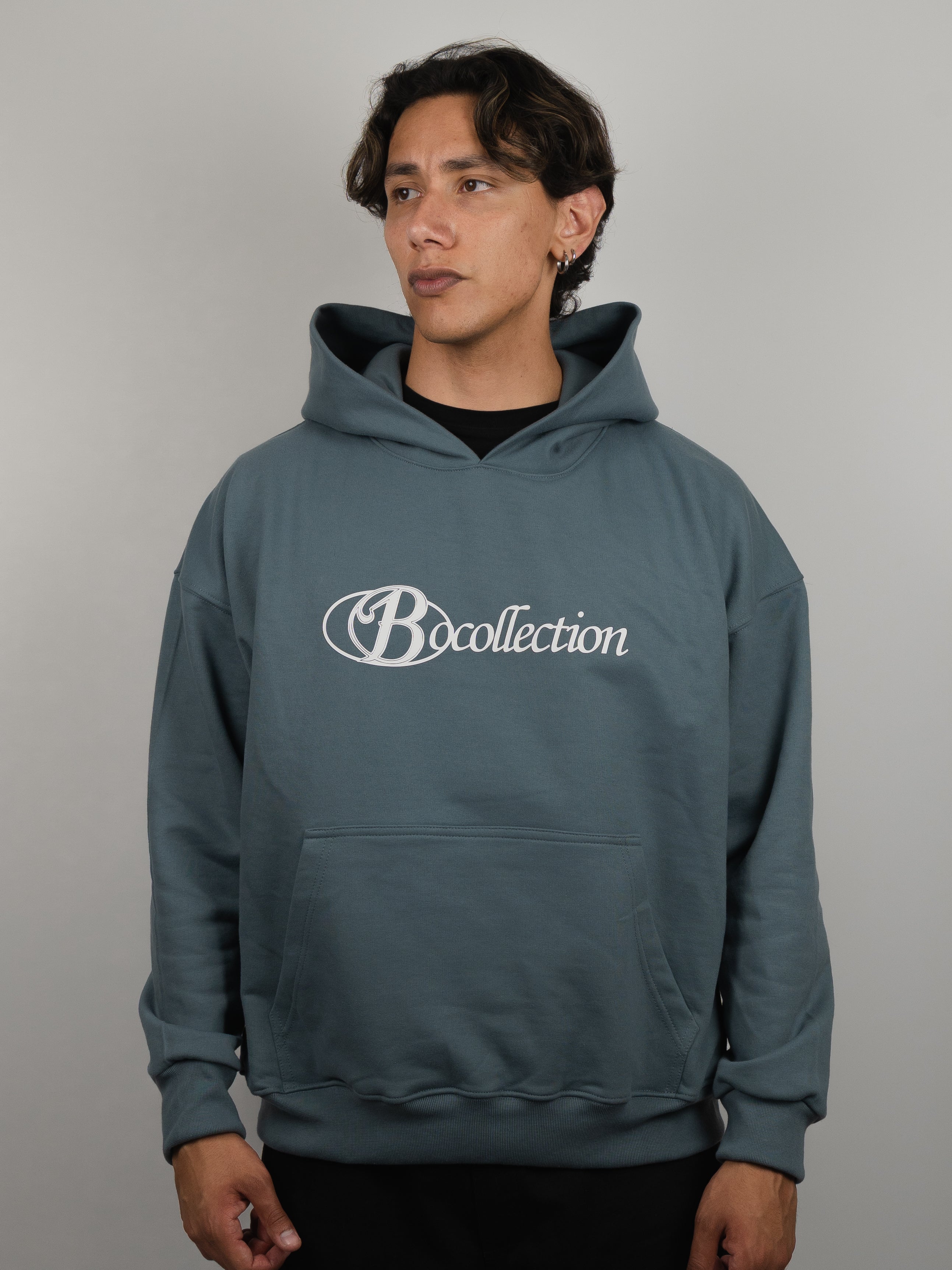 Hoodie grey big logo 3D