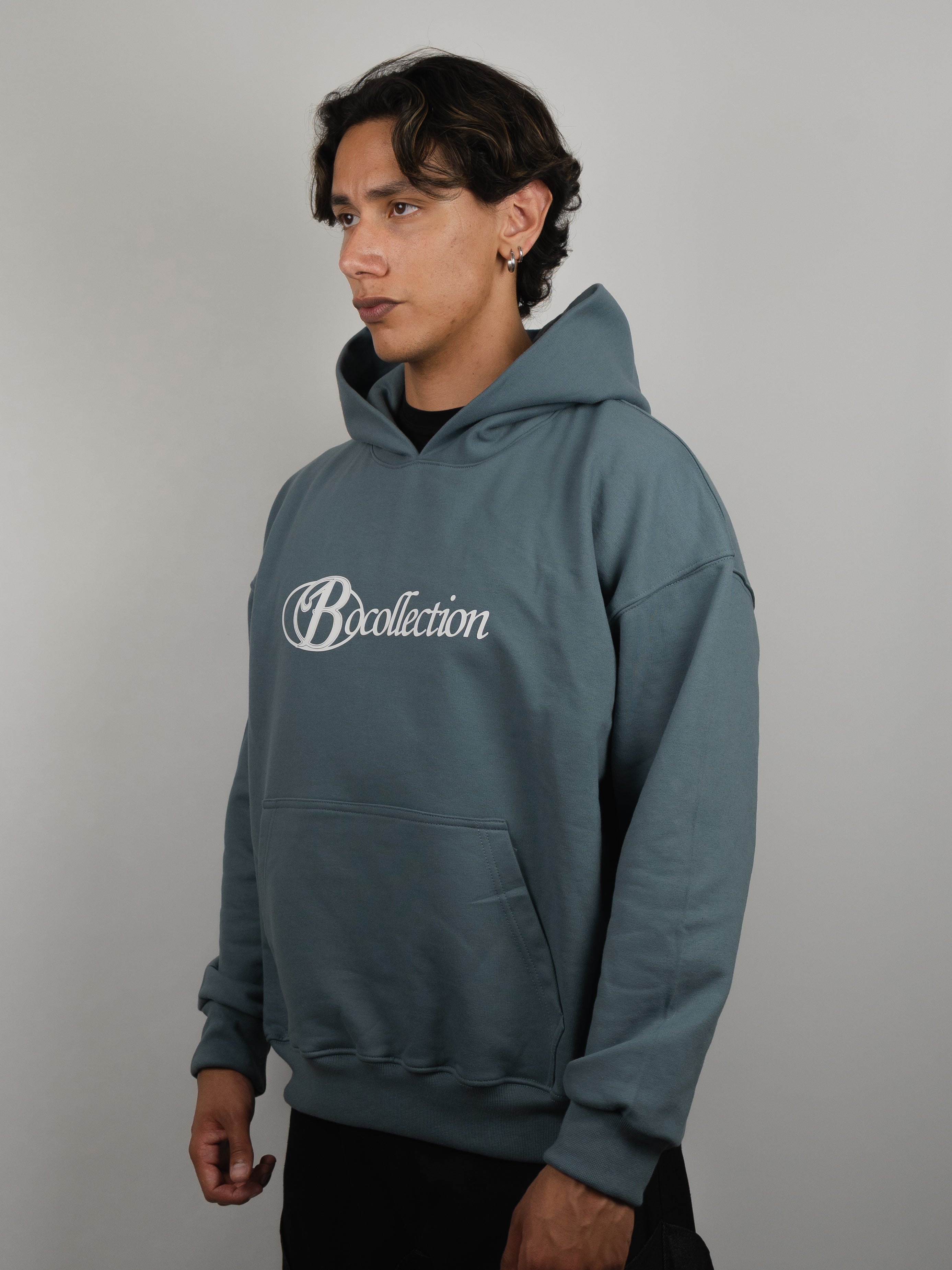 Hoodie grey big logo 3D